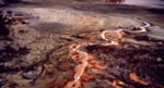 La Griglia